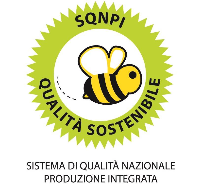 L’etichettatura dei prodotti di qualità. Il caso del Sistema Qualità Nazionale produzione Integrata