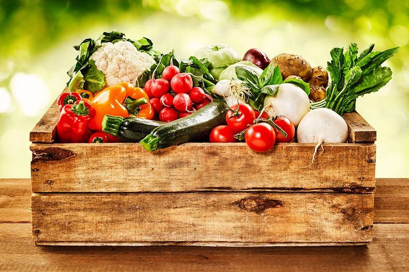 La dimensione ambientale nel settore agroalimentare: alcune riflessioni generali